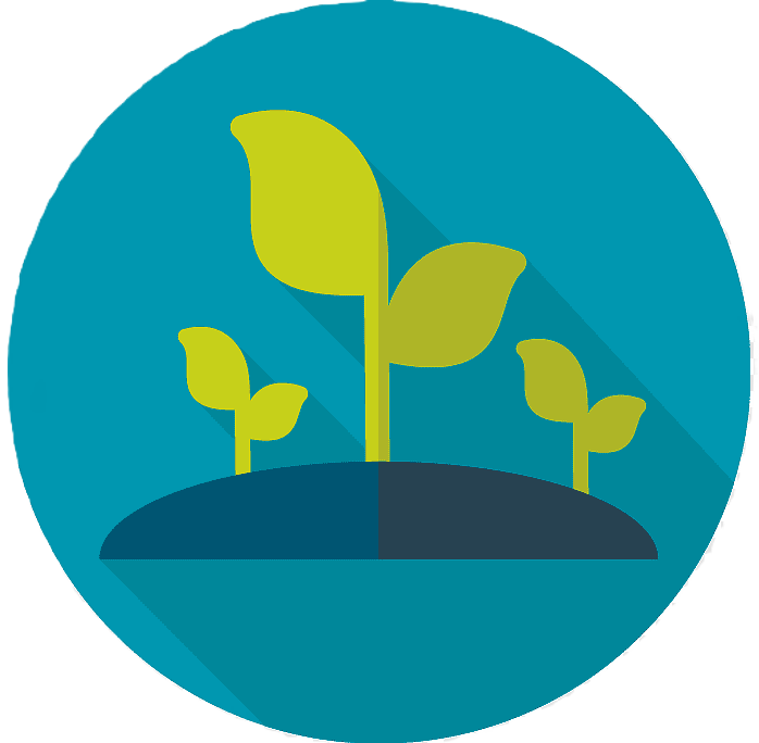 Garden & Horticulture